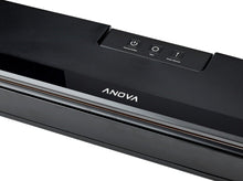 Load image into Gallery viewer, Anova Precision™ Vacuum Sealer (220V)
